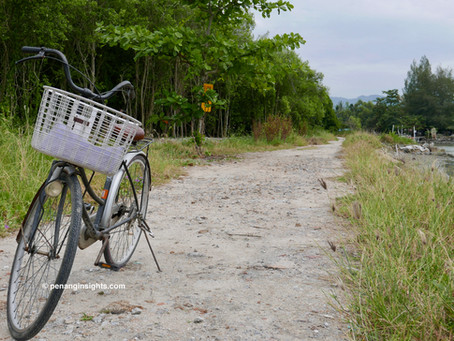 Cycling tour