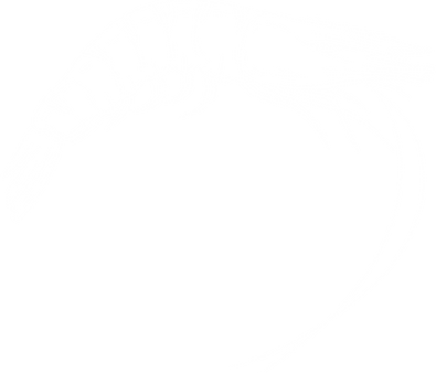 Seafood