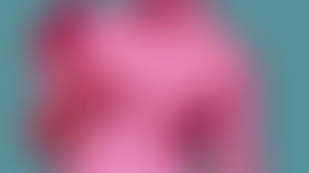 ClanDestines per Destí? al Mnac