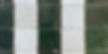 Ligne 5x5 Vert Mousse Blanc 2_edited.jpg