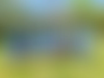 Lenexa City F.C. Secure First Win of the Season Against LS Athletic