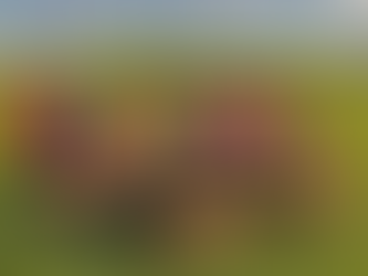 Match Recap: Real OP Marches Past Woodland FC in Dominant Win