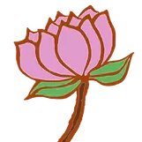 པད་མ་ hoa sen lotus.webp