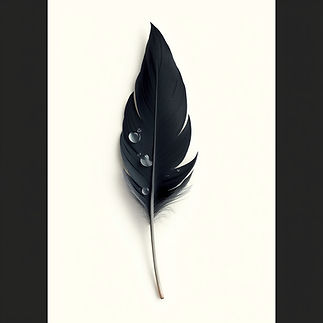 Soft black feather with water droplets on creamy background.jpg