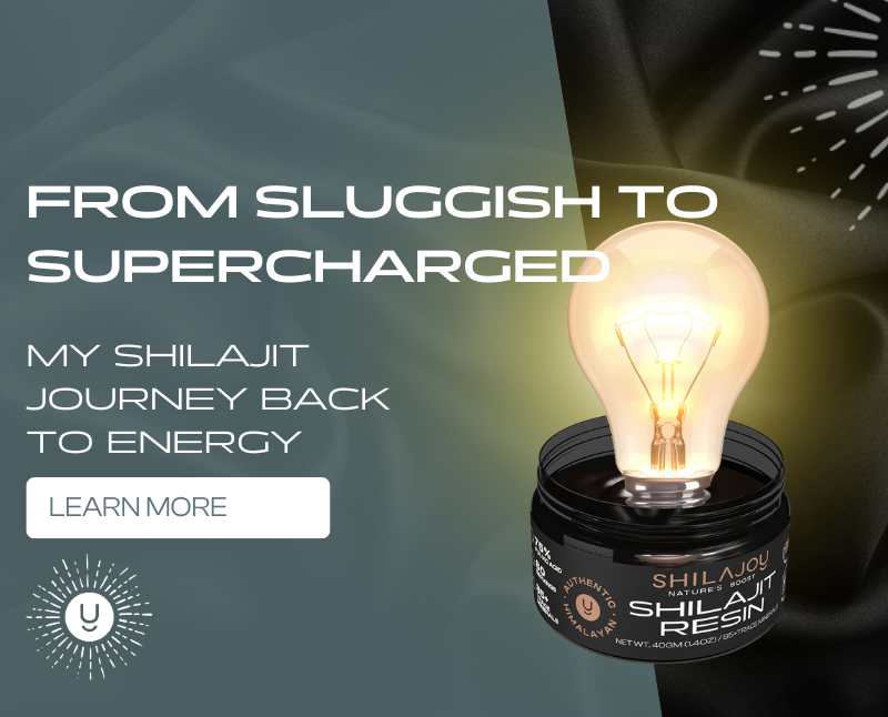 Shilajoy Shilajit