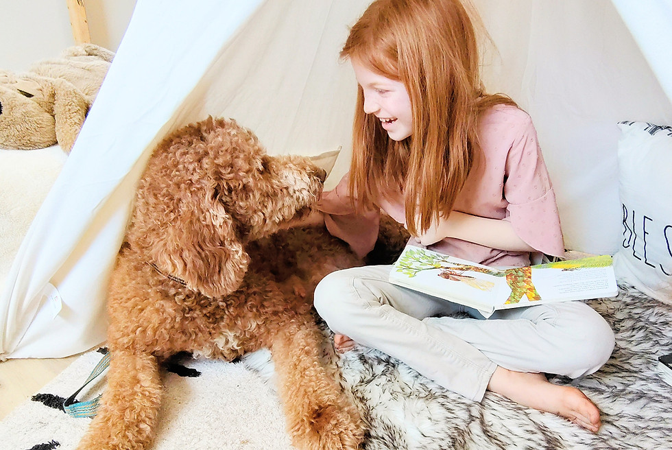 home-raised goldendoodle puppies dam loved in-home