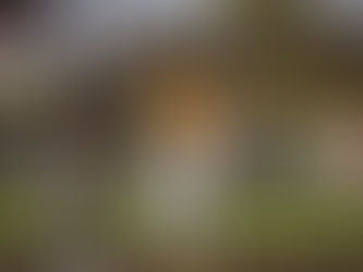 Aviators Power Past Greenville 23-1