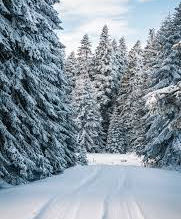 Peau douce et protégée en hiver : rituels cocooning MJ Beauty à Gardanne ❄️