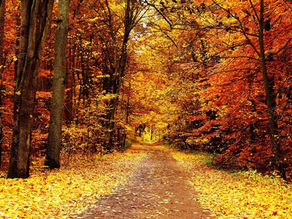 Rentrée en beauté : soins réparateurs après l’été chez MJ Beauty à Gardanne 🍂
