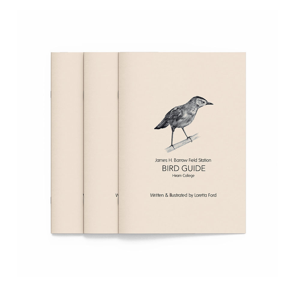 Thumbnail: Bird Guide
