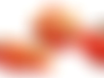 The 57 Astounding Edible Plants You Can Forage in Michigan in 2025