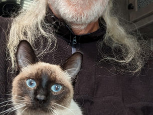 CJ Rapp & Lily The Adventure Cat