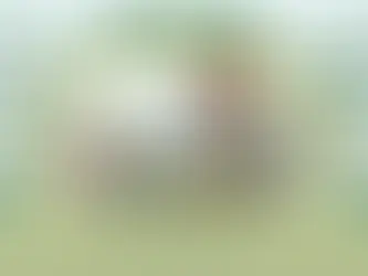 Applying Boston Food Forest Coalition Lessons to the Eco Village Co-op