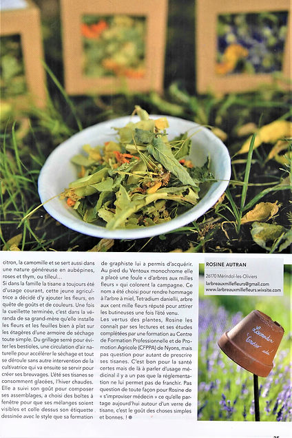 VENTOUX MAGAZINE 4.jpeg