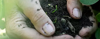 Clean Asphaltenes Tile3.jpg