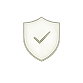 Shield Icon.png