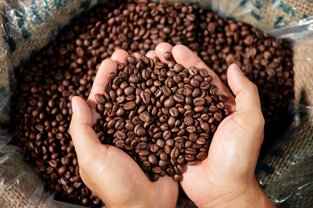 From Light to Dark: Understanding Specialty Coffee Roasts
