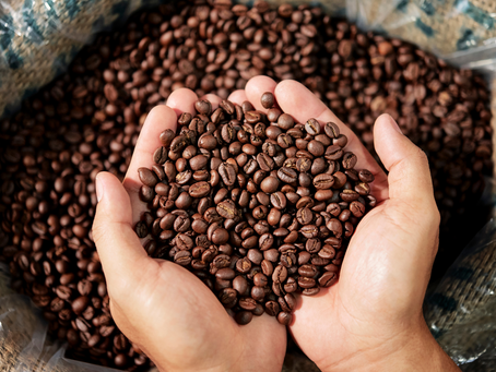From Light to Dark: Understanding Specialty Coffee Roasts