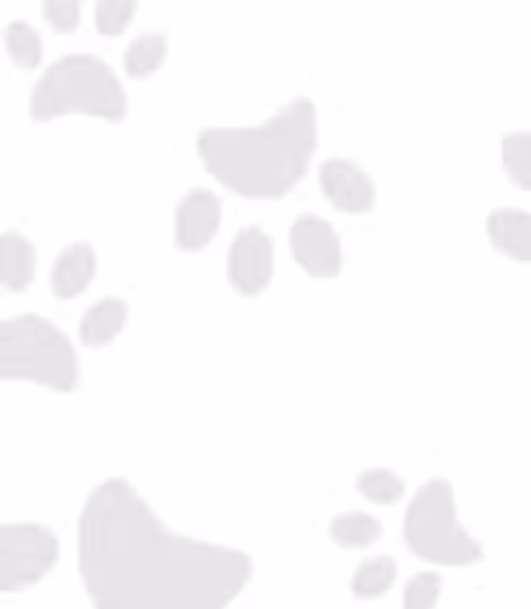 TWITCHY-6-png-e1737665511527.avif