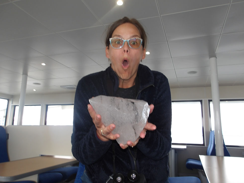 Moose Match Mayhem, PB&J, and Glacier Chunks — Adventures in Solo-Mom Travel