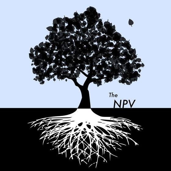 Progressive-PAC's Platform