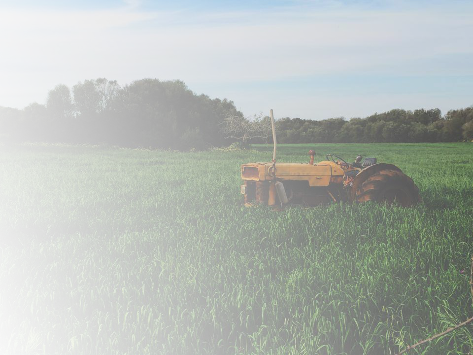 tractor 1.png