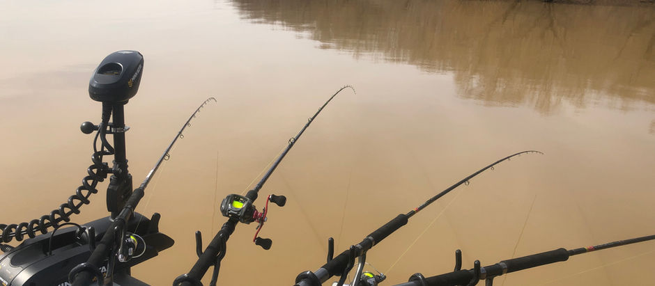 What Colors To Use While Fishing.