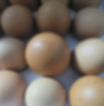 Thumbnail: A dozen of eggs refers to a standard quantity of eggs, which is 12 eggs. The term "dozen" comes from the grouping of 12 items, and it's commonly used in various contexts to refer to quantities of items sold in multiples of 12.