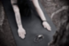 image1 (1).jpeg