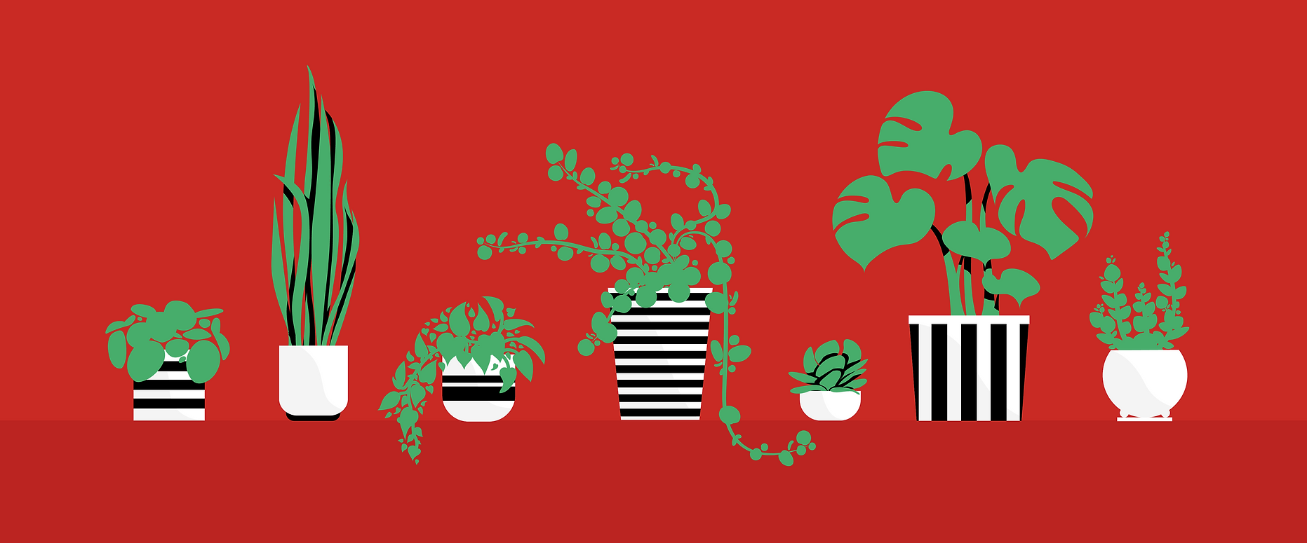header-01.png