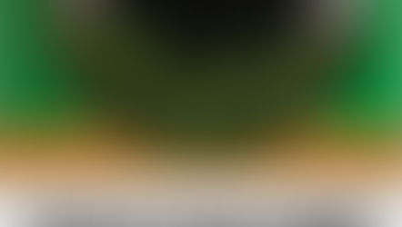 DIFUSÃO DOS RESULTADOS ECONÔMICOS DE SISTEMAS DE TERMINAÇÃO DE BOVINOS DE CORTE À PASTO