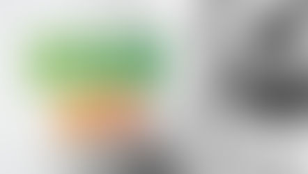 DESMISTIFICAÇÃO DO USO DE HORMÔNIOS EM FRANGOS