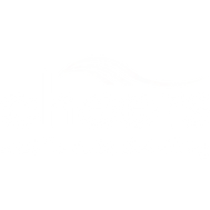 Cheers Mobile Auto Detailing