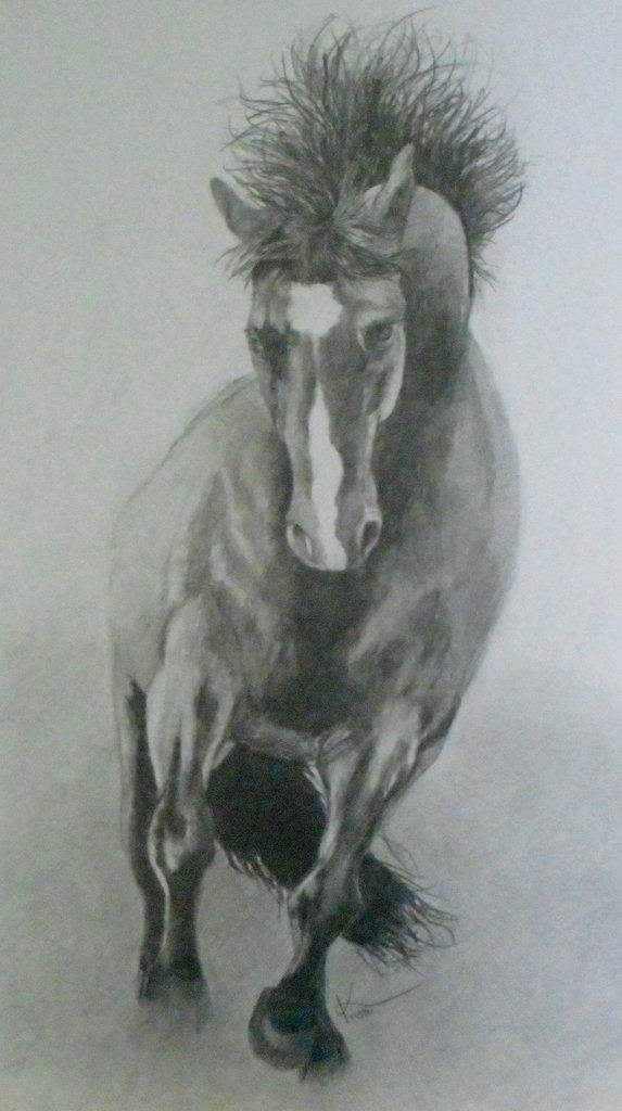 Getting The Fresh Out | Graphite