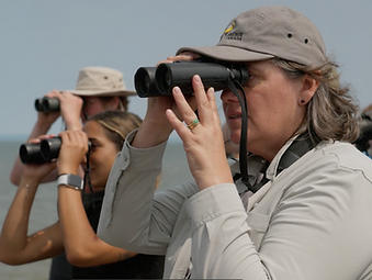 Screenshot 2026-01-20 at 5.09.42 PM.png