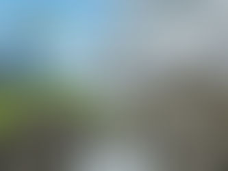 Traversing a Bifurcated Economy: Challenges and Growth Opportunities for FIs