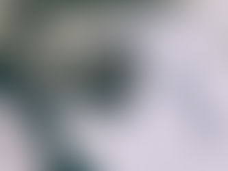 MDT E3 2024: The Larry Nichols Interview