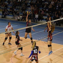 Volley