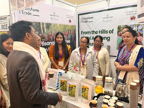 Introducing Premium Karbi Artisanal Green Tea: A Journey from Assam to Your Cup