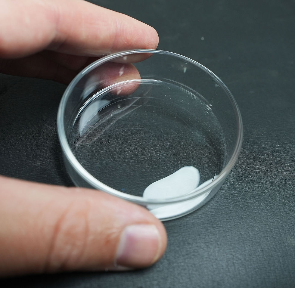 Aquarium shrimp feeding dish