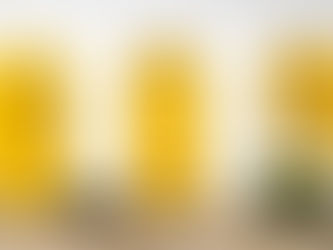 Which Type Of Front Door Is Best?