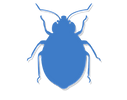 Bed Bug Silhouette