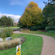 IMG_8170.jpeg