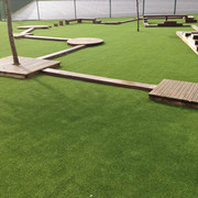 image00003.jpeg