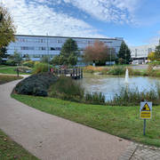 IMG_8172.jpeg