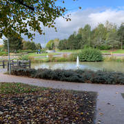 IMG_8171.jpeg