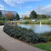 IMG_8164.jpeg
