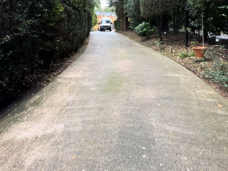 Why is there Moss on my Resin Bound Driveway?