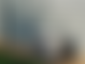 Panasonic TZ installed back at the start of Autumn.