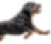 Untitled.png
